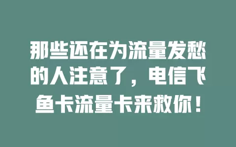 那些还在为流量发愁的人注意了，电信飞鱼卡流量卡来救你！
