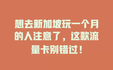 想去新加坡玩一个月的人注意了，这款流量卡别错过！
