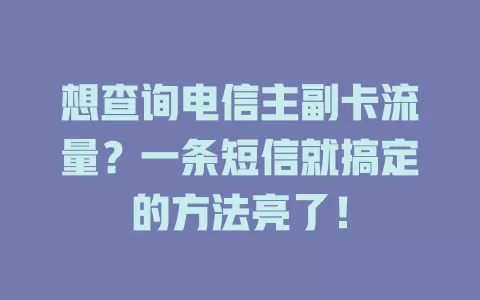 想查询电信主副卡流量？一条短信就搞定的方法亮了！