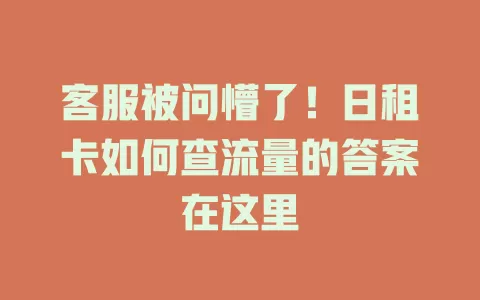 客服被问懵了！日租卡如何查流量的答案在这里