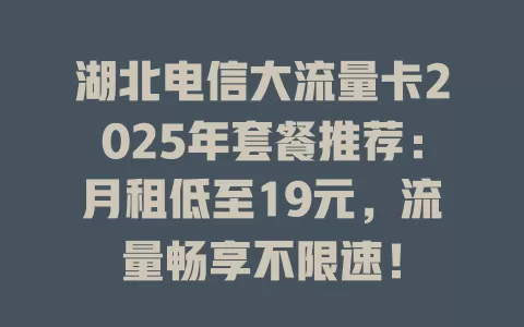 湖北电信大流量卡2025年套餐推荐：月租低至19元，流量畅享不限速！