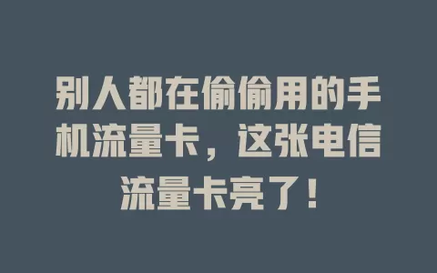别人都在偷偷用的手机流量卡，这张电信流量卡亮了！