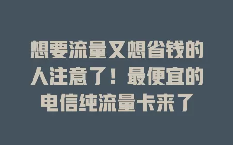 想要流量又想省钱的人注意了！最便宜的电信纯流量卡来了
