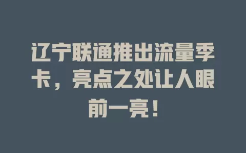 辽宁联通推出流量季卡，亮点之处让人眼前一亮！