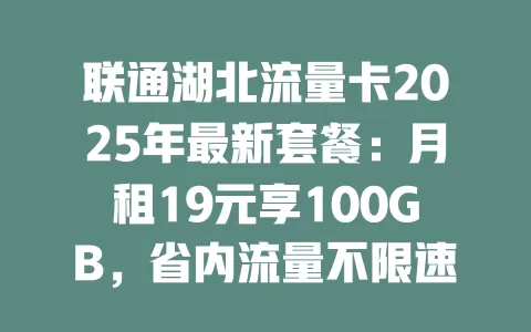 联通湖北流量卡2025年最新套餐：月租19元享100GB，省内流量不限速！