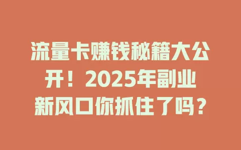 流量卡赚钱秘籍大公开！2025年副业新风口你抓住了吗？
