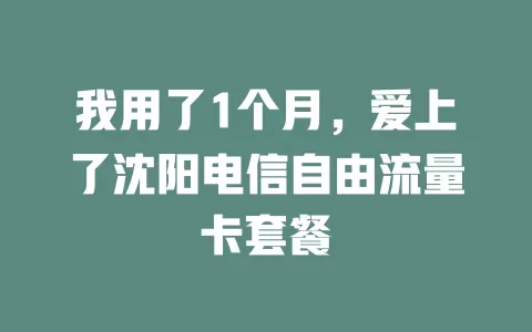 我用了1个月，爱上了沈阳电信自由流量卡套餐
