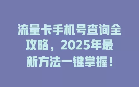流量卡手机号查询全攻略，2025年最新方法一键掌握！