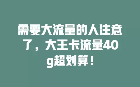 需要大流量的人注意了，大王卡流量40g超划算！