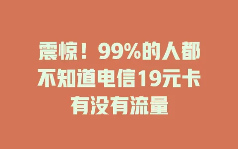 震惊！99%的人都不知道电信19元卡有没有流量