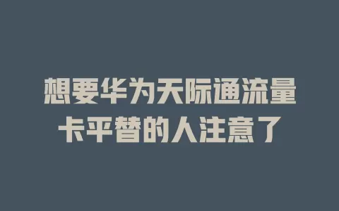 想要华为天际通流量卡平替的人注意了