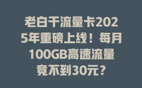 老白干流量卡2025年重磅上线！每月100GB高速流量竟不到30元？