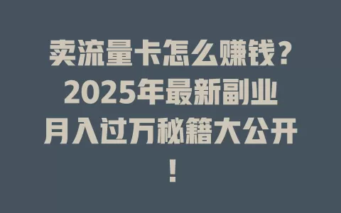 卖流量卡怎么赚钱？2025年最新副业月入过万秘籍大公开！
