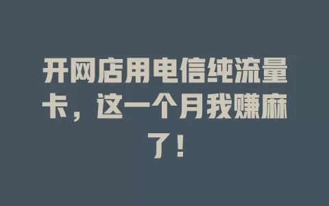 开网店用电信纯流量卡，这一个月我赚麻了！