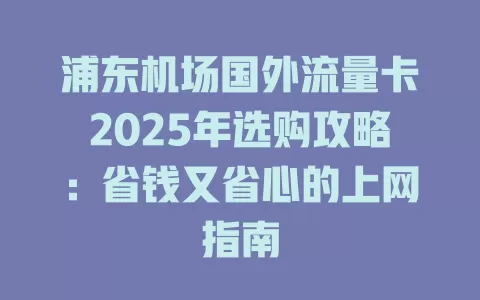 浦东机场国外流量卡2025年选购攻略：省钱又省心的上网指南