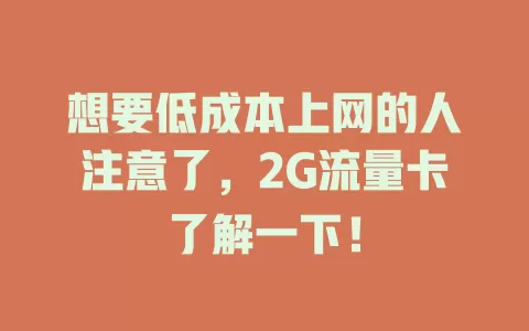 想要低成本上网的人注意了，2G流量卡了解一下！