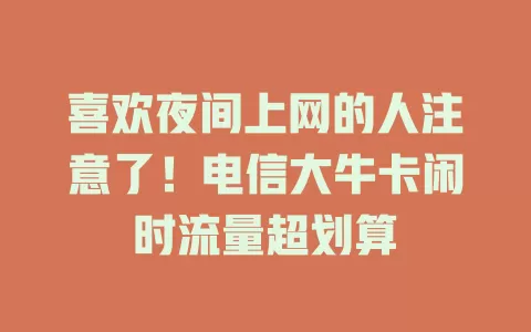 喜欢夜间上网的人注意了！电信大牛卡闲时流量超划算
