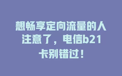 想畅享定向流量的人注意了,电信b21卡别错过!