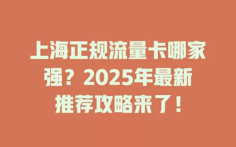 上海正规流量卡哪家强？2025年最新推荐攻略来了！