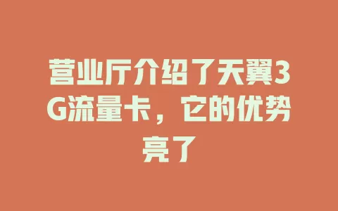 营业厅介绍了天翼3G流量卡，它的优势亮了
