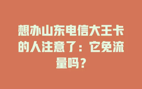 想办山东电信大王卡的人注意了：它免流量吗？