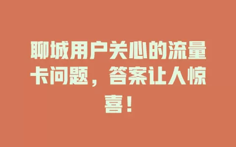 聊城用户关心的流量卡问题，答案让人惊喜！
