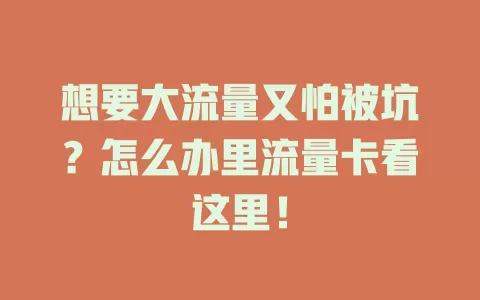 想要大流量又怕被坑？怎么办里流量卡看这里！