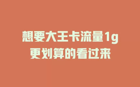 想要大王卡流量1g更划算的看过来