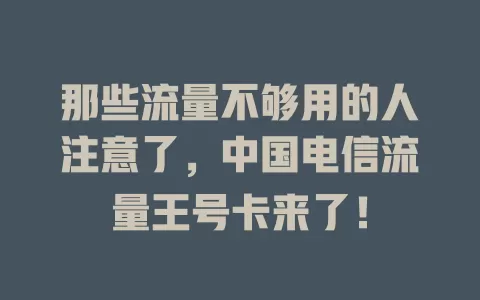 那些流量不够用的人注意了，中国电信流量王号卡来了！