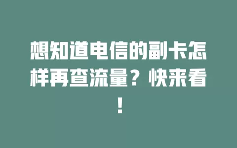 想知道电信的副卡怎样再查流量？快来看！