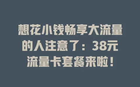 想花小钱畅享大流量的人注意了：38元流量卡套餐来啦！
