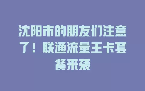 沈阳市的朋友们注意了！联通流量王卡套餐来袭