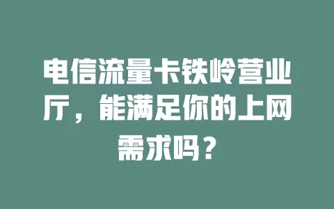 电信流量卡铁岭营业厅，能满足你的上网需求吗？