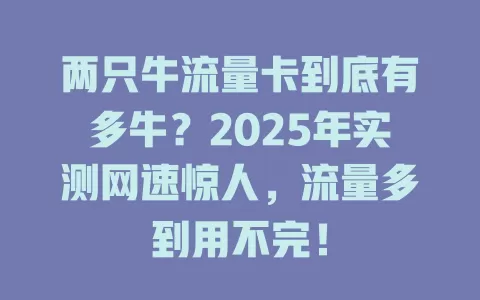 两只牛流量卡到底有多牛？2025年实测网速惊人，流量多到用不完！