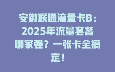 安徽联通流量卡B：2025年流量套餐哪家强？一张卡全搞定！