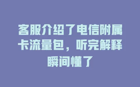 客服介绍了电信附属卡流量包，听完解释瞬间懂了