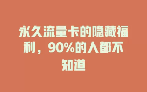 永久流量卡的隐藏福利，90%的人都不知道