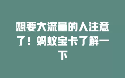 想要大流量的人注意了！蚂蚁宝卡了解一下