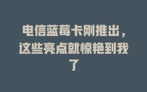 电信蓝莓卡刚推出，这些亮点就惊艳到我了
