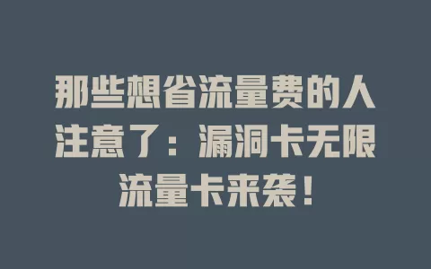 那些想省流量费的人注意了：漏洞卡无限流量卡来袭！