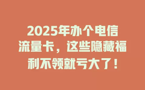 2025年办个电信流量卡，这些隐藏福利不领就亏大了！