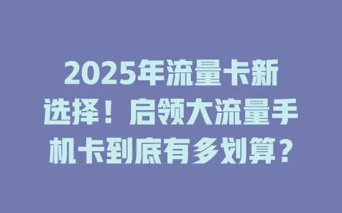 2025年流量卡新选择！启领大流量手机卡到底有多划算？
