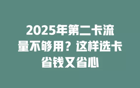 2025年第二卡流量不够用？这样选卡省钱又省心