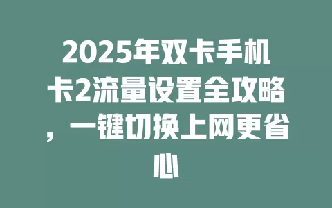 2025年双卡手机卡2流量设置全攻略，一键切换上网更省心