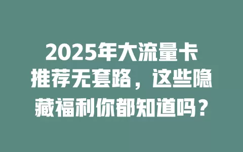 2025年大流量卡推荐无套路，这些隐藏福利你都知道吗？