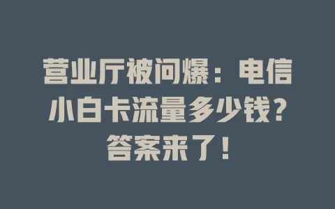 营业厅被问爆：电信小白卡流量多少钱？答案来了！