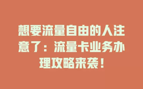 想要流量自由的人注意了：流量卡业务办理攻略来袭！