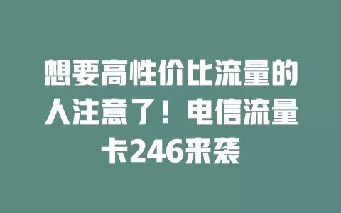 想要高性价比流量的人注意了！电信流量卡246来袭