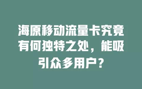 海原移动流量卡究竟有何独特之处，能吸引众多用户？